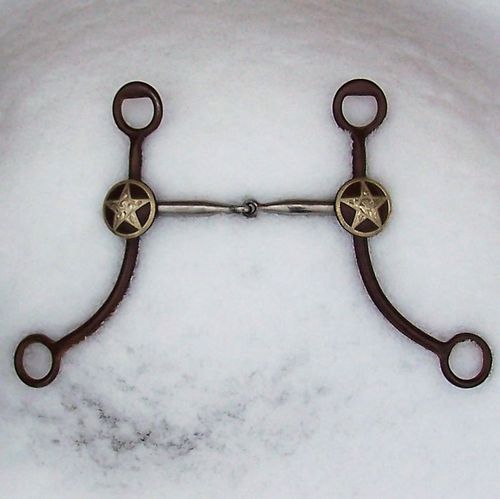 Snaffle-Bit Show "Silver Star on Brown"